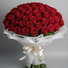 101 Красная роза Блэк Мэджик в Тюмени Букет 101 Красная роза Блэк Мэджик в Тюмени