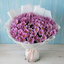 Букет сиреневая охапка в Тюмени Букет цветов из:  Хризантемы в Тюмени