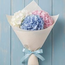 Букет Нежная гортензия в Тюмени Букет цветов из:  Гортензия в Тюмени