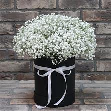 Композиция коробка гипсофил в Тюмени Цветочная композиция из Гипсофила в шляпной коробке в Тюмени